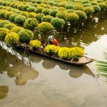 Mekong Delta tours
